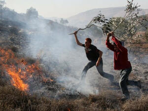 Palestinians extinguish fire at an olive tree grove that was allegedly set ablaze by Jewish settlers. (AFP/File)