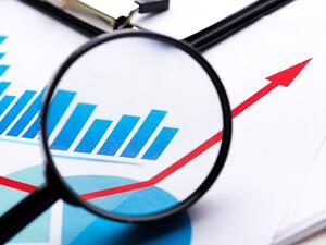 “The plan outlaid an aspirational target of OMR700 million for the value of GOEs transferred to private sector owners between 2017 and 2021." - ISFU annual report (Shutterstock)