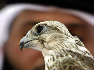 السعودية: سنفتتح قريبا قنصليتنا العامة في البصرة
