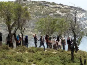 مواجهات بين شبان فلسطينيين وقوات الاحتلال في الضفة الغربية