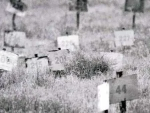 الحاخام العسكري "رافي بيرتس" بدأ بتحديد مكان دفن الجثث في شمال وادي الأردن