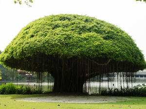 (Shutterstock/ File Photo)