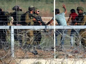 Israeli soldiers arrest Palestinians who tried to approach the Gaza fence during clashes east of Gaza City on May 15, 2018. (AFP/ File Photo)