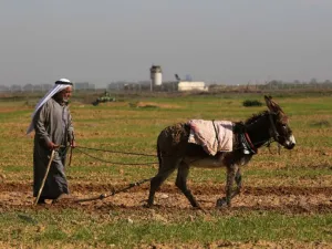 قوات إسرائيلية تستهدف مزارعين ومنازل شرق قطاع غزة