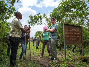 A group of tourist, rangers and carriers inside the tropical jungle (Shutterstock/File Photo)
