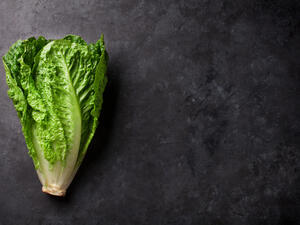 Romaine lettuce salad over stone table (Shutterstock/File Photo)