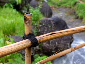 (Shutterstock/File Photo)