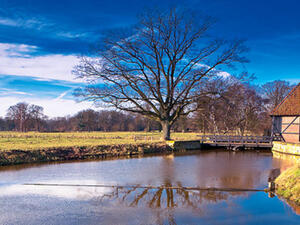 بحيرة في هولندا. 