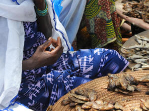 امرأة موريتانية في السوق. 