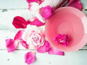 يتم الحصول على ماء الورد من الزيوت العطرية 