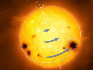 Sun-like stars rotate differentially, with the equator rotating faster than the higher latitudes. The blue arrows in the figure represent rotation speed. Differential rotation is thought to be an essential ingredient for generating magnetic activity and starspots.