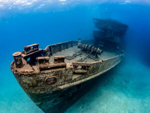 (Shutterstock/ File Photo)