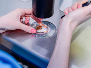 (Shutterstock/ File Photo)