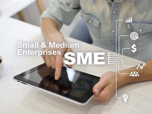 Banks are not funding because they are a risky investment and there is a need to have a separate venture capital or guarantee scheme for them. (Shutterstock)