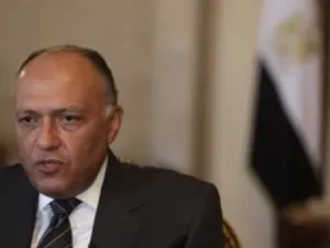 حول الوضع في سوريا، أكد شكري إن "أية محاولة لعكس عقارب الساعة واستعادة الوضع السابق في سورية وهم"