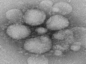 (Source: US Department of Health and Human Services)