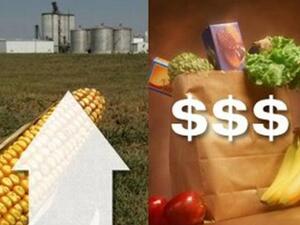 Countries with lower income levels would be impacted by inflation more than other countries because with a lower income a larger portion is spent on food Countries with lower income levels would be impacted by inflation more than other countries because with a lower income a larger portion is spent on food