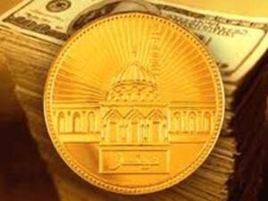 شددت الدراسة على أهمية التهيئة والتمهيد للوحدة الاقتصادية وهو ما يتطلب توفير المعلومات عن اقتصاديات العالم الإسلامي وتوثيق عملية الاتصالات بين العالم الإسلامي، وكذلك تيسير المواصلات لنقل السلع