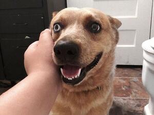 (Matt Hardin/ Instagram)