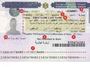 Permanent residency applications would be open to those with require specific academic qualifications and professional skills, while investors will need sufficient capital funds. (Visa Guide)