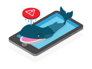 (Shutterstock/ File Photo)