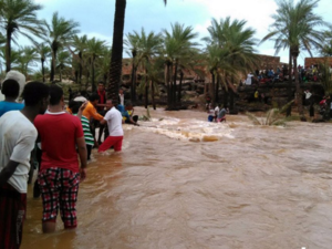 Cyclone Chapata hit wind speeds of 155 mph in the Arabian Sea, making it the second strongest storm ever recorded in those waters. (Twitter)