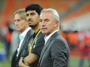 بيرت فان مارفيك