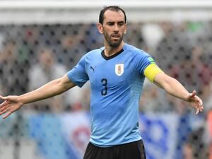 دييغو غودين