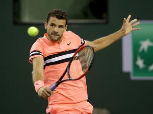 غريغور ديميتروف