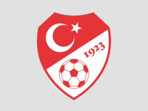 The Turkish Football Federation logo