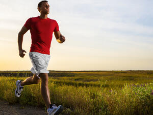 Source: victorianbusinessrunners.com