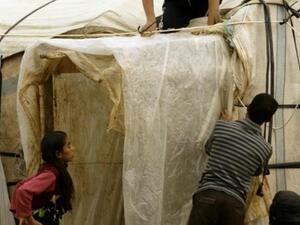 A Syrian refugee family covers their make shift home with plastic sheeting as a rain and cold weather front envelops the region, close to the southern Lebanese village of Sardah on December 29, 2013. [AFP]