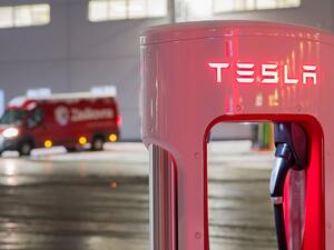 Tesla’s shares, already down nearly 10 percent from their level on 7th August, just before Musk tweeted that he had “funding secured” for a buyout at $420 a share, fell 5 percent in trading in Germany to $263.50. (Shutterstock)