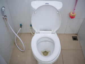 يجب ارتداء القفازين وتفريغ ماء المرحاض لترطيب الوعاء من الداخل shutterstock يجب ارتداء القفازين وتفريغ ماء المرحاض لترطيب الوعاء من الداخل shutterstock