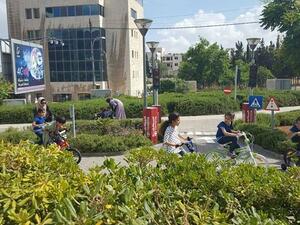 Traffic Park