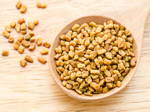 الحلبة مفيدة للإنسان لاحتوائها على البروتين والمواد الدهنيّة والنشا