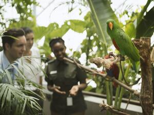 The Green Planet will not just be a place to escape the arid Dubai heat but to also learn about how a rainforest works. (Twitter)
