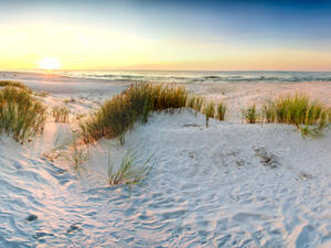 (Shutterstock/ File Photo)