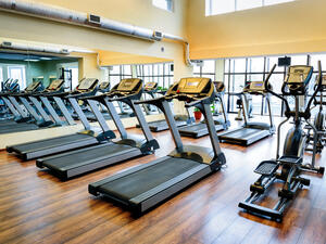 (Shutterstock/ File Photo)