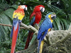 (Shutterstock/ File Photo)