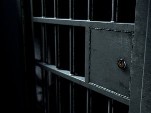 (Shutterstock/ File Photo)