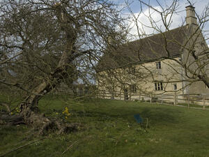Issac Newton’s famous apple tree is still standing strong after 400 years in the small market town of Grantham in Midlands, England. (Shutterstock/ File Photo)