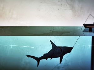 (Shutterstock/ File Photo)