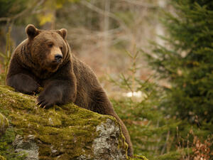 (Shutterstock/ File Photo)