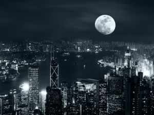 (Shutterstock/ File Photo)