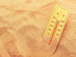 (Shutterstock/ File Photo)