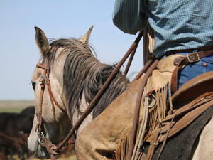 (Shutterstock/ File Photo)