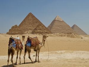 (Shutterstock/ File Photo)