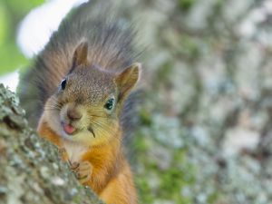 (Shutterstock/ File Photo)