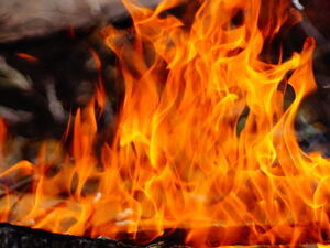 (Shutterstock/ File Photo)